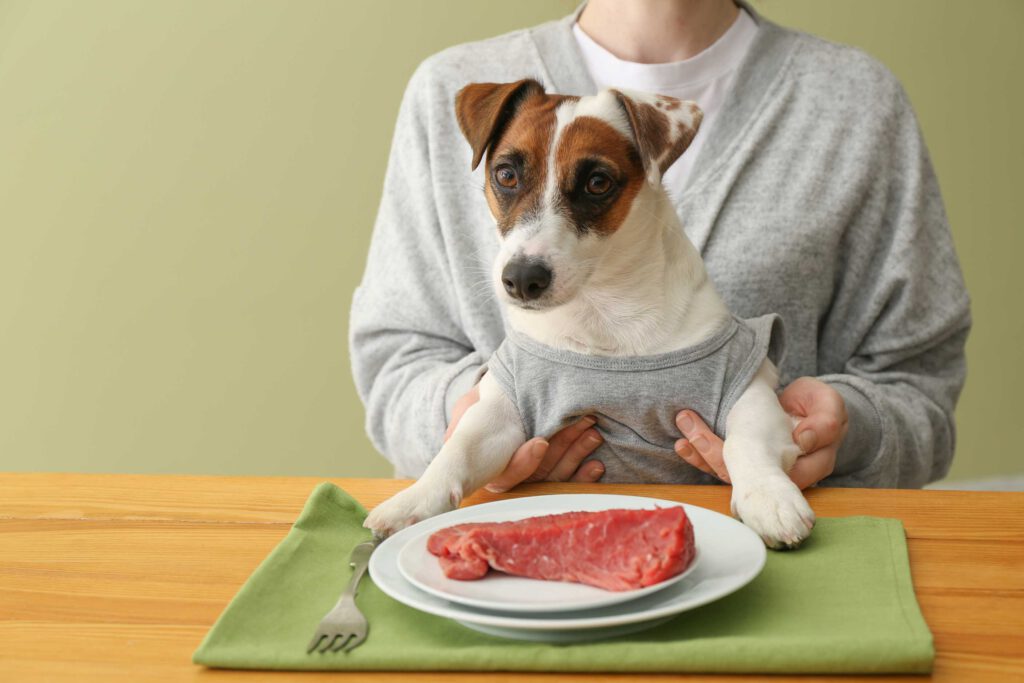 rauw vlees voor de hond